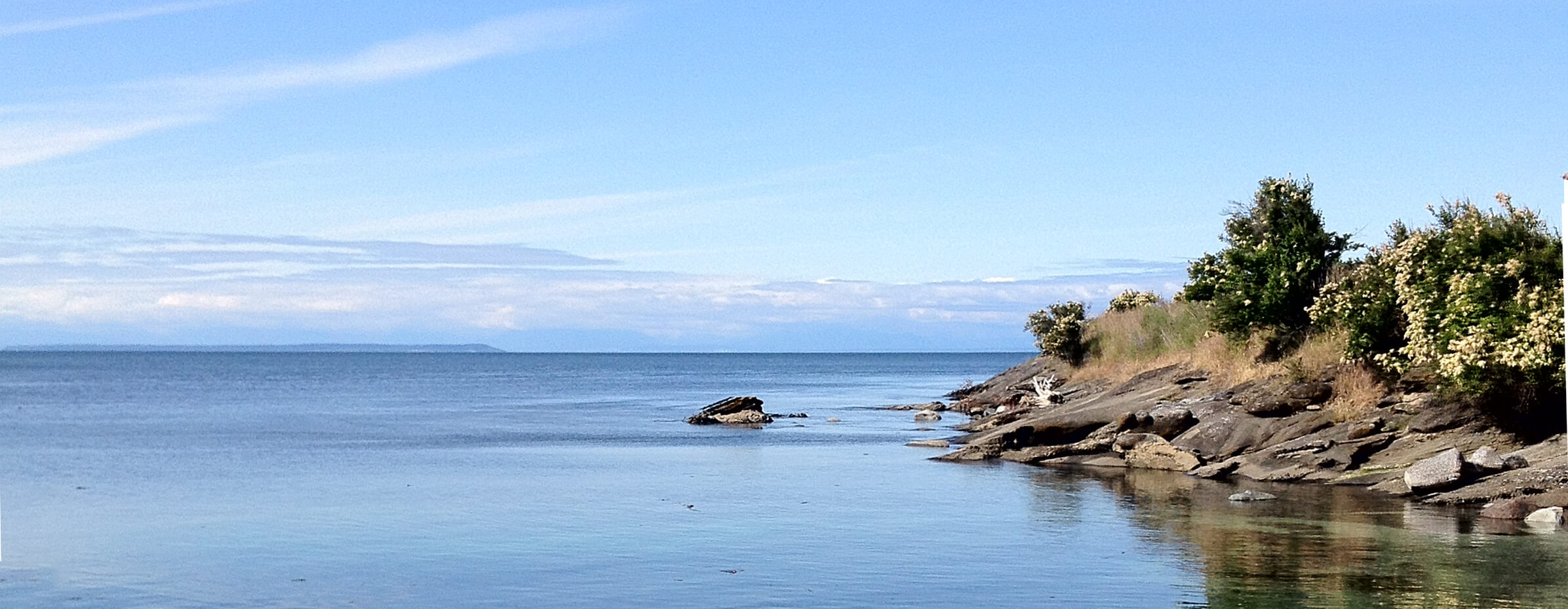 WinterCove, water and shore