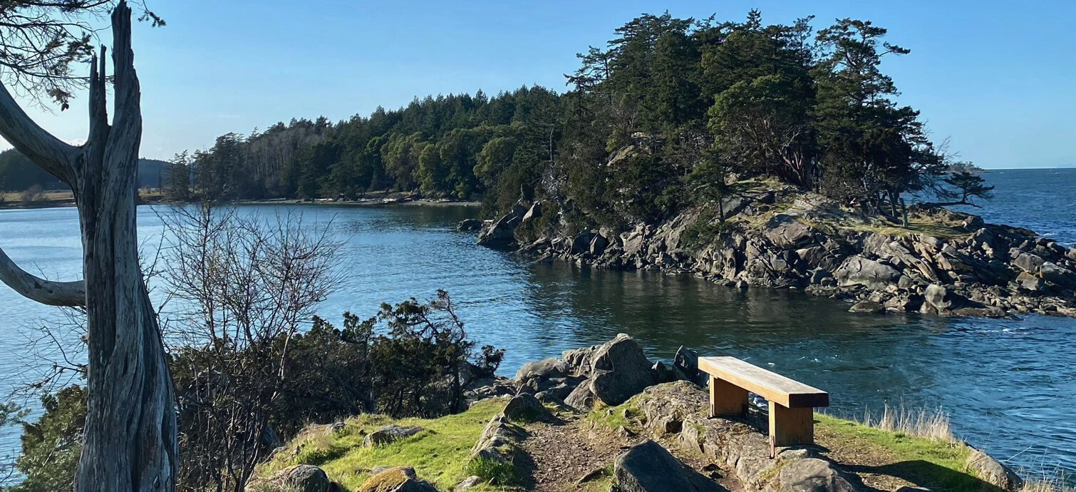 Ocean land view